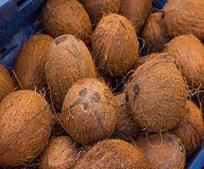 corona banned coconut business in kanpur how many orders were made