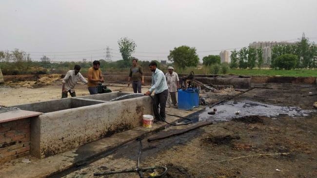 एक और गाय की मौत, पशुधन मंत्री ने किया गोशाला का निरीक्षण