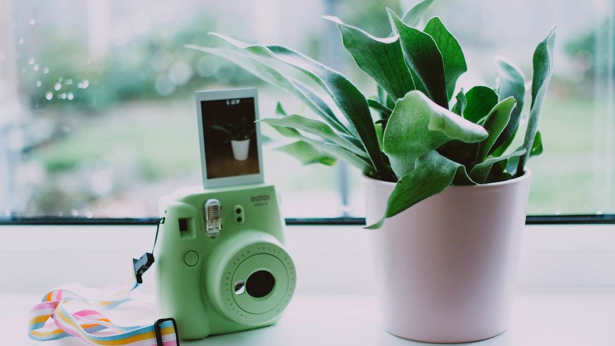 Best Fujifilm Cameras: कॉम्पेक्ट डिज़ाइन वाला कैमरा कुछ ही सेकेंड्स में धड़ाधड़ प्रिंट करेगा हाई क्लास फोटोज़
