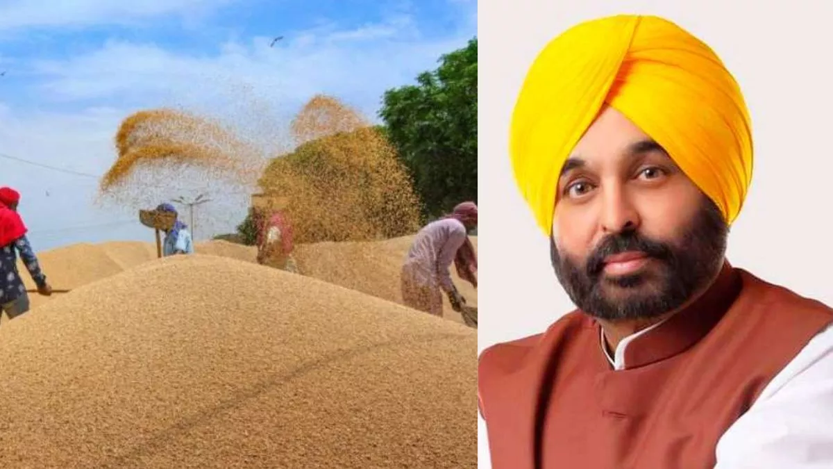 Punjab News: पंजाब सरकार के पास गोदाम ही नहीं, गेहूं की खरीद के लिए किसान कर रहे इंतजार; FCI ने शुरू की खरीद