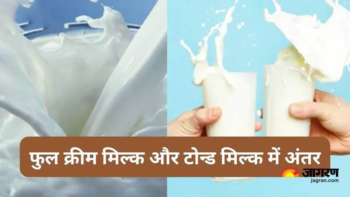 Full Cream Milk और Toned Milk, कौन सा बेहतर?; जानिए क्या होता हैं अंतर