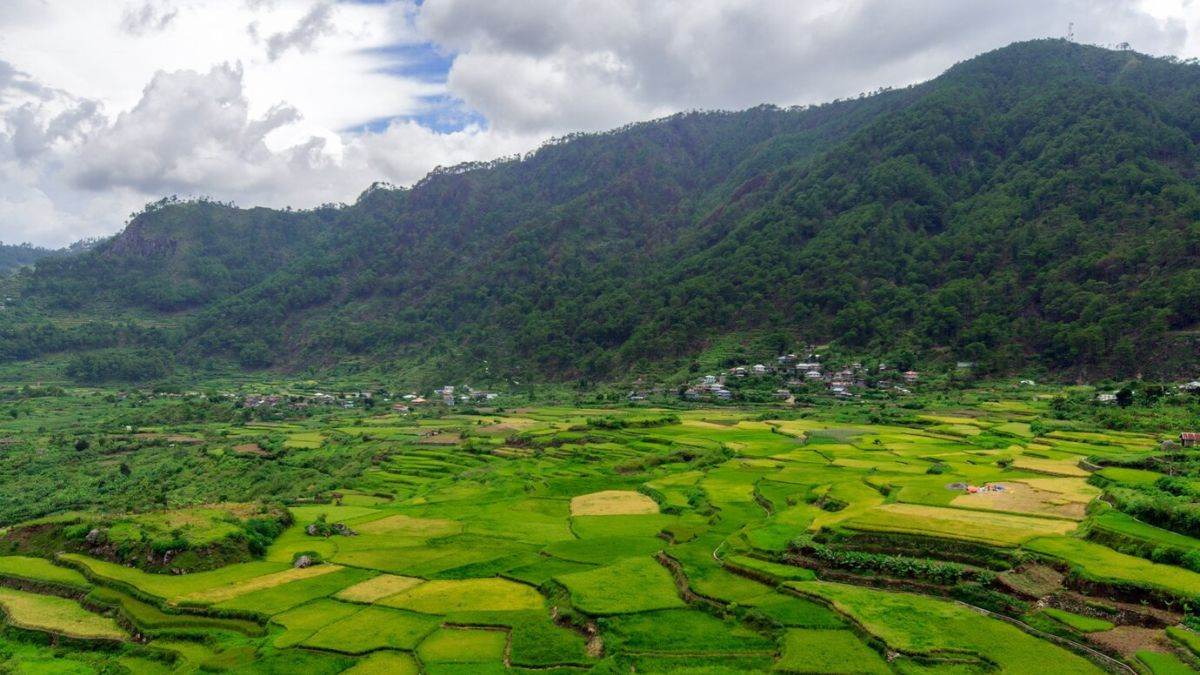 from tea gardens to unesco world heritage sites at every turn in assam there is a unique miracle of nature
