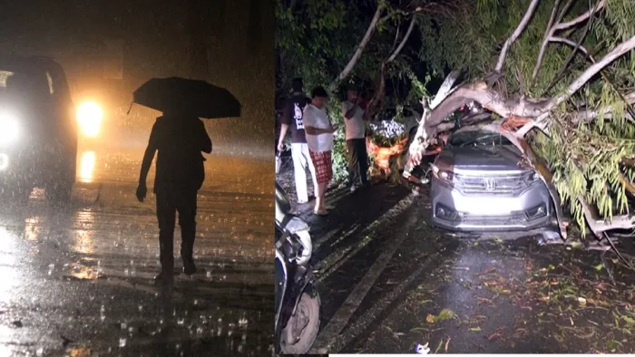 आंधी-तूफान के कारण हुई बारिश, कहीं गिरे पेड़ (फोटो- एएनआई)