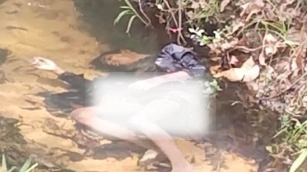 in umaria tiger grabbing 14 year old boy body was found in drain