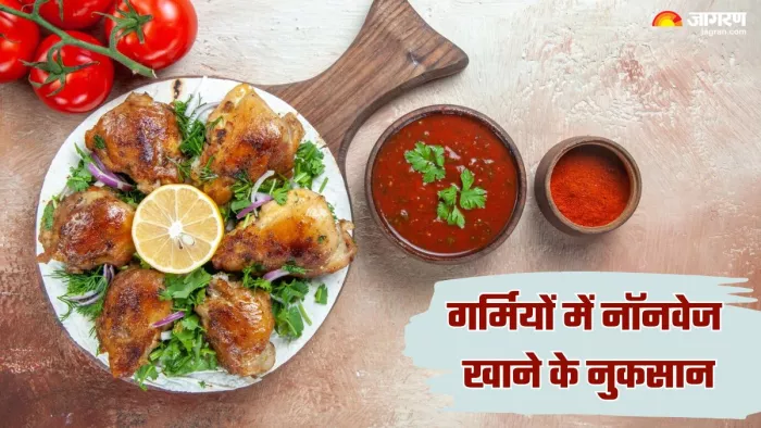 गर्मियों में ज्यादा नॉनवेज खाने से बचें। (Image Credit- Freepik)