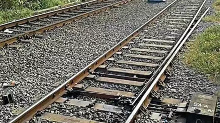 प्रस्तुति के लिए इस्तेमाल की गई तस्वीर