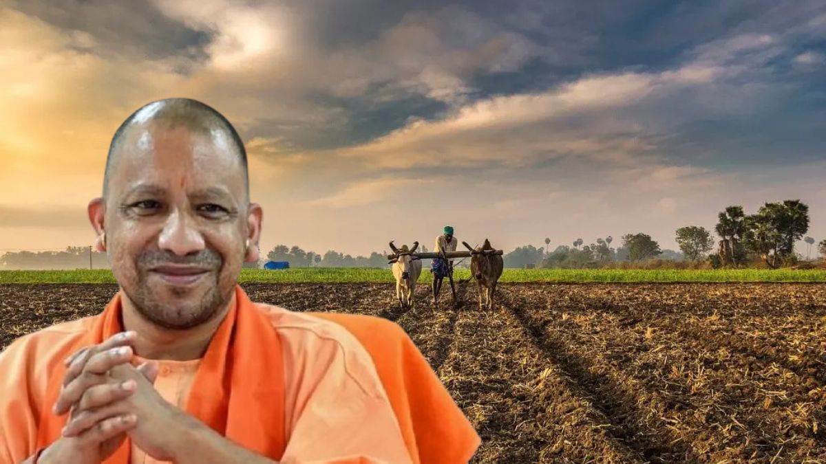 yogi government ended tension by providing this facility now wheat sale become even easier for farmers