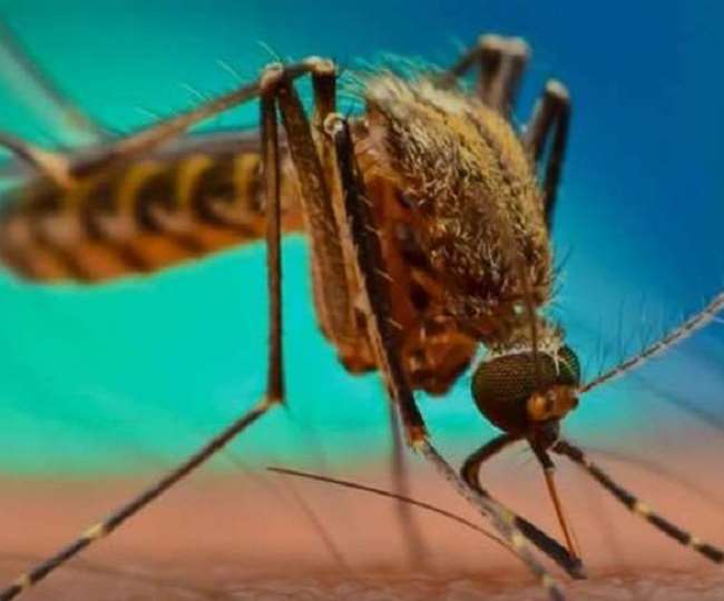 five crore people of 19 districts of uttar pradesh will be fed anti filaria medicines from today