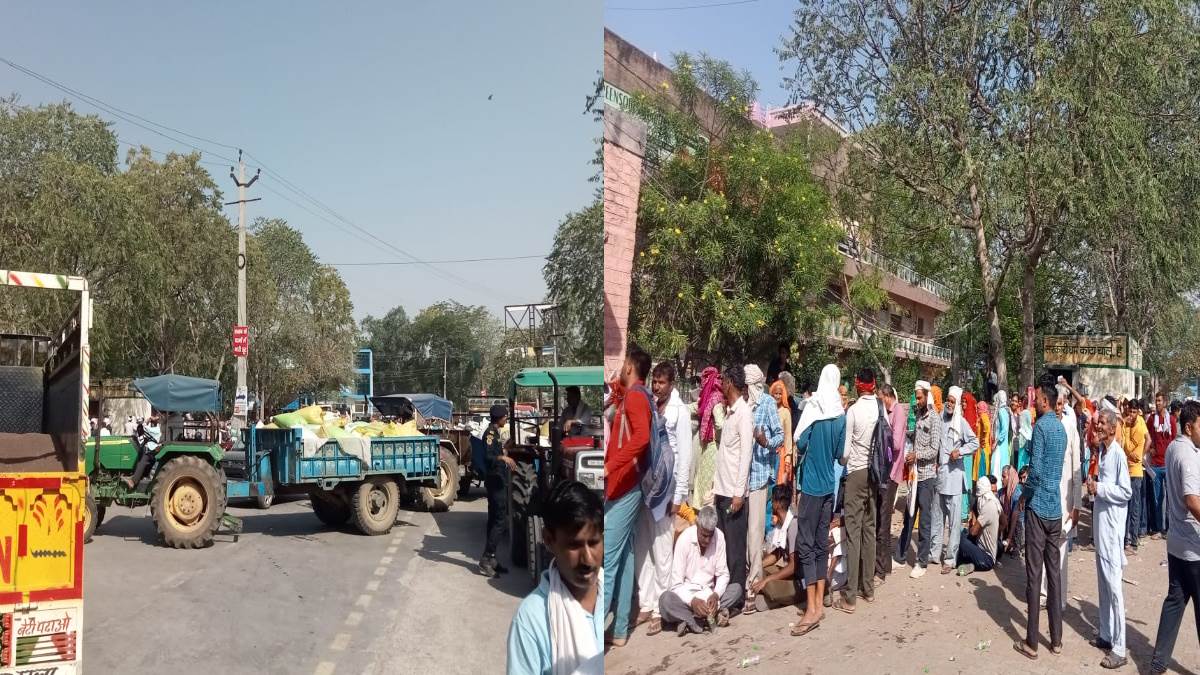 ncr rewari tractor trolleys jammed mandi farmers line up from night for token cutting to sell mustard