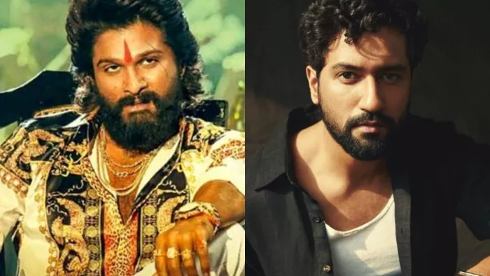 The Immortal Ashwatthama After Vicky Kaushal and Ranveer Singh Exit Pushpa 2 Star Allu Arjun/Instagram