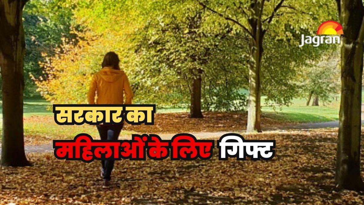 ncr delhi government new gift for women of delhi deputy mayor announced make pink park in every ward