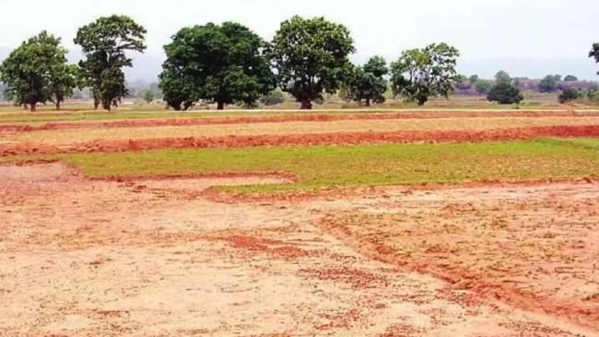 Bihar Land News: भू-माफियाओं का एक और बड़ा खेल, सरकारी जमीन की कर दी बिक्री; देखकर पुलिस के उड़े होश