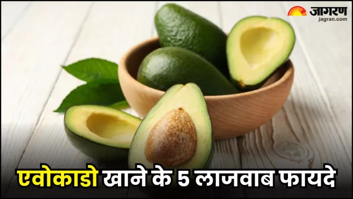 रोज खाएं एक एवोकाडो, सेहत को मिलेंगे ये 5 गजब फायदे (Image Source: Freepik)