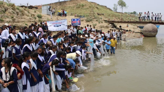 मत्स्य संरक्षण के लिए सिफरी द्वारा शनिवार को सिरसा के गंगा नदी में मछलियों को छोड़ते स्कूली बच्चे। सौ. सिफरी