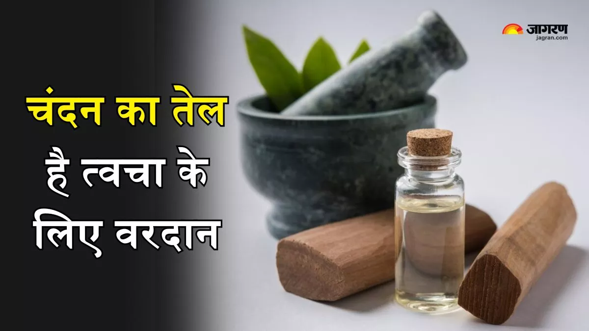 Sandalwood Oil Benefits: रंगत निखारने से लेकर एंटी-एजिंग तक, चंदन के तेल के ये 6 फायदे जानकर हैरान रह जाएंगे आप