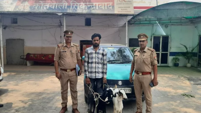 Bulandshahr News: सिकंदराबाद कोतवाली परिसर में बरामद माल के साथ आरोपित।