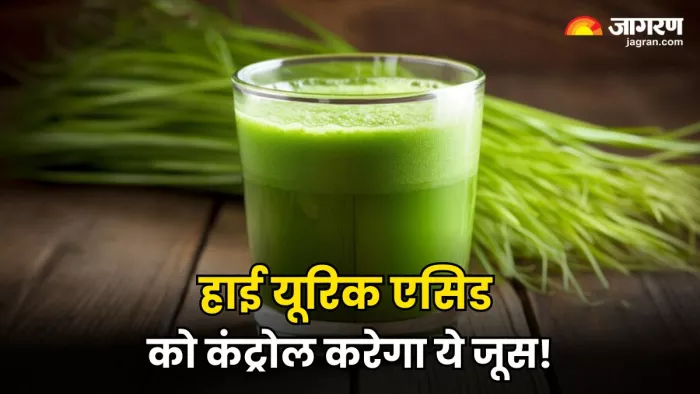बढ़े हुए यूरिक एसिड को पिघलाकर शरीर से बाहर फेंक देगा ये जूस (Image Source: Freepik)