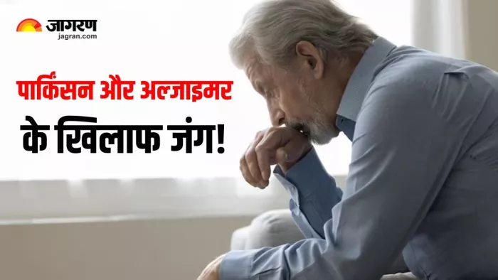 पार्किंसन और अल्जाइमर के खिलाफ जंग में बड़ी सफलता (Image Source: Freepik)