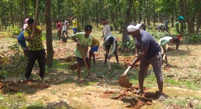 रांची ज&zwj;िले बेड़ो प्रखंड के लमकाना गांव के जंगल में ट्रेंच खोदते ग्रामीण। जागरण
