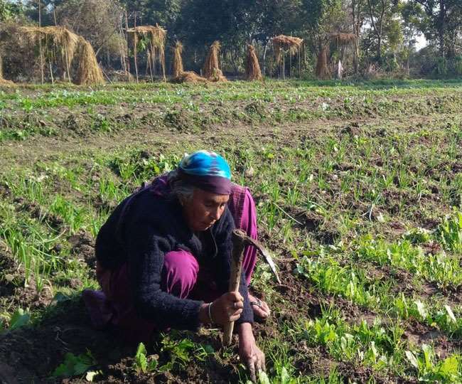 News Article Hero Image