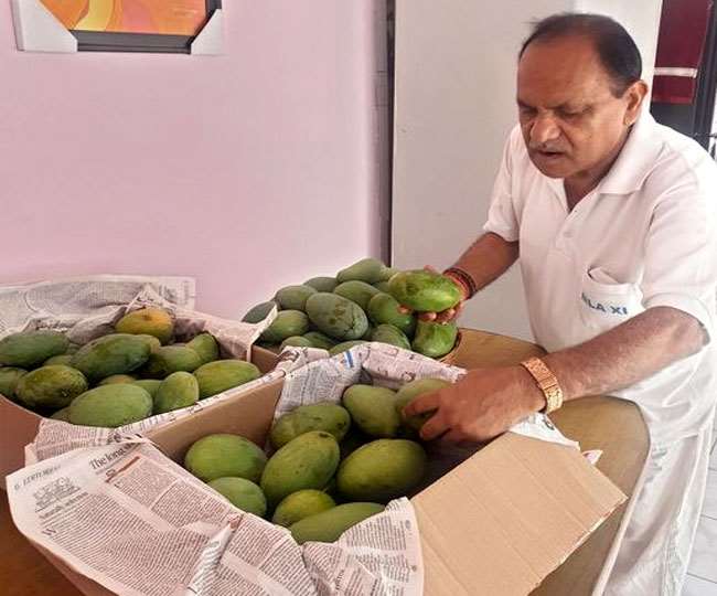 किसके लिए है झारखंड के 'खास' लोगों के घरों में फले 'आम', पढ़ें यह रोचक