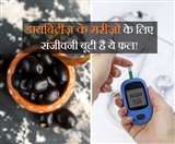 डायबिटीज़ के मरीज़ों के लिए अमृत है ये एक फल, तेज़ी से करता है शुगर कंट्रोल