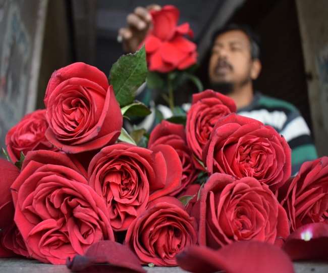 the area of rose cultivation increased in agra due to profit jagran special