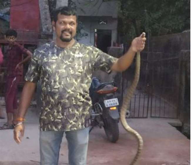 लोोगों को सांपों से बचाने वाले स्नेक मैन कार्तिक