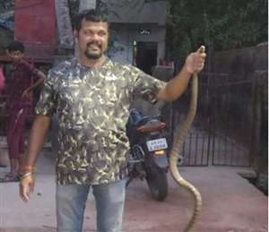 लोोगों को सांपों से बचाने वाले स्नेक मैन कार्तिक