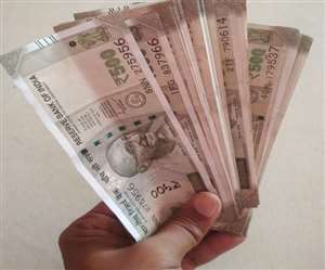 युवाओं की संख्या के साथ जिलों से मांगी गई रोजगार की संभावनाओं की जानकारी