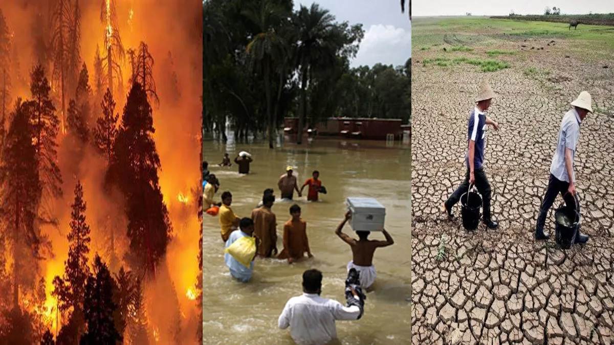 https://www.jagranimages.com/images/newimg/12062023/12_06_2023-climate_change_analyst_23439225.jpg