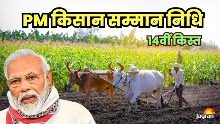 PM KISAN SAMMAN NIDHI: बिहार के लाखों किसानों की 14वीं किश्त पर मंडरा रहे संकट के बादल