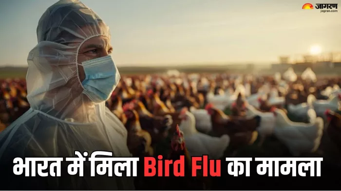 भारत में मिला बर्ड फ्लू का दूसरा मामला (Picture Credit- Freepik)