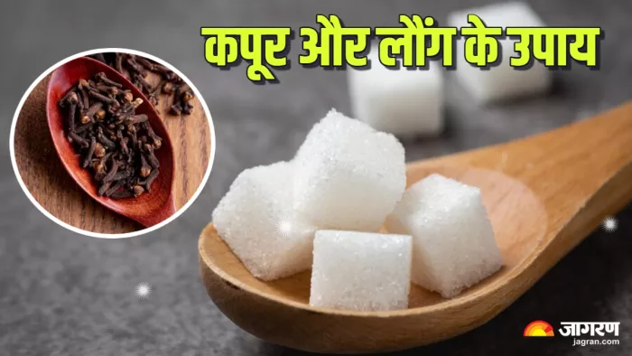 Laung and Kapoor Upay करें लौंग और कपूर के ये उपाय।