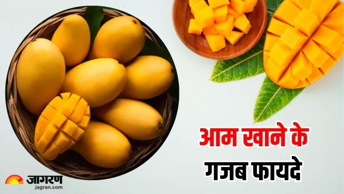 गर्मियों में आम खाने के ये फायदे जान, आप भी रह जाएंगे हैरान (Image Source: Freepik)