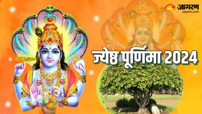 Jyeshtha Purnima 2024: ज्येष्ठ पूर्णिमा पर जरूर करें इन पेड़ों की पूजा।