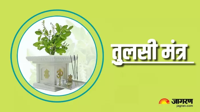 Tulsi Puja Niyam: तुलसी पूजा के मंत्र।