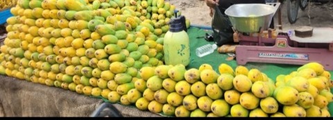 how to identify carbide ripened mangoes health risks and identification tips