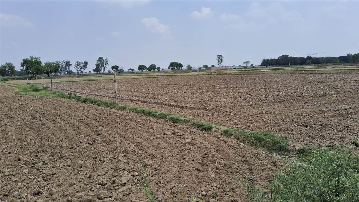 ncr noida airport land acquisition farmers prepare for crop despite acquisition