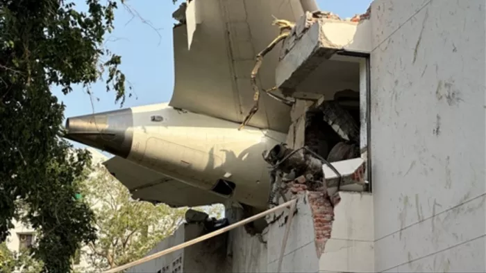Ahmedabad Plane Crash: टेक ऑफ के बाद पक्षियों के झुंड से टकरा गया प्लेन? इन 5 प्वाइंट में समझें एअर इंडिया फ्लाइट क्रैश की वजह - Ahmedabad Air India Dreamliner plane crash
