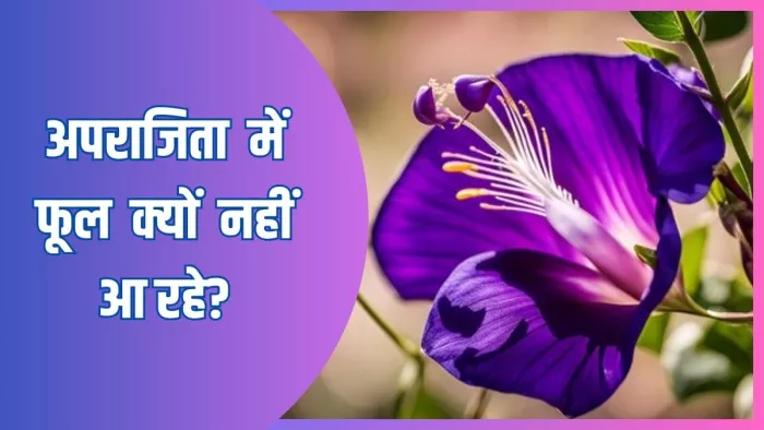 इस एक ट्रिक से खिलेंगे सैकड़ों फूल (Image Credit- Freepik)