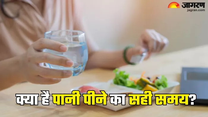 खाते समय कब पीना चाहिए पानी? (Picture Credit- Freepik)