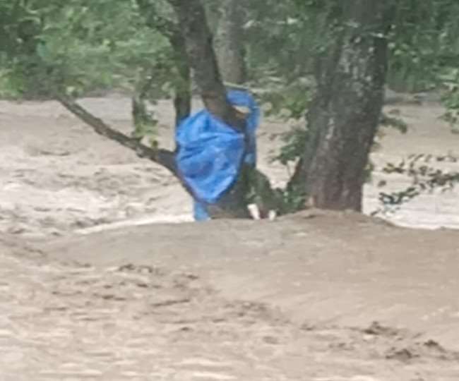 मांझी खड्ड के तेज बहाव में फंसी महिला ने पेड़ पर चढ़कर जान बचा ली।