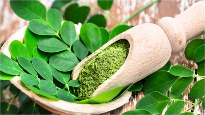 Drumsticks Leaves: सहजन की पत्तियों के फायदे जानते हैं आप?
