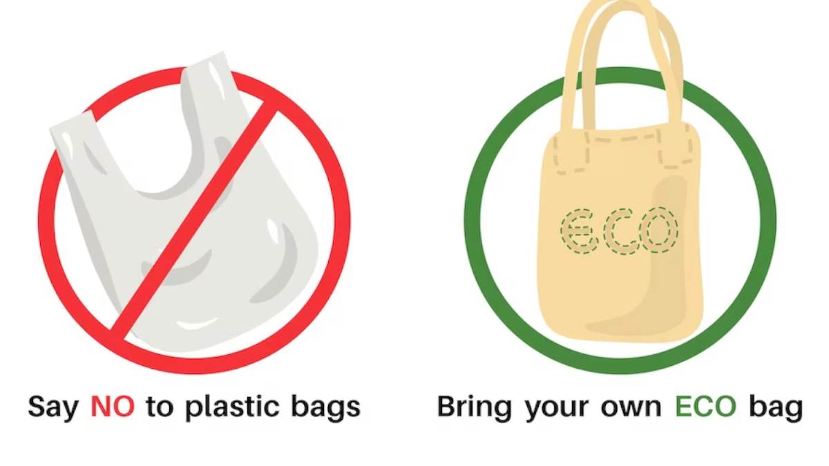Paper Bag Day पेपर बैग डे पर जानें प्लास्टिक बैग्स किस तरह से है