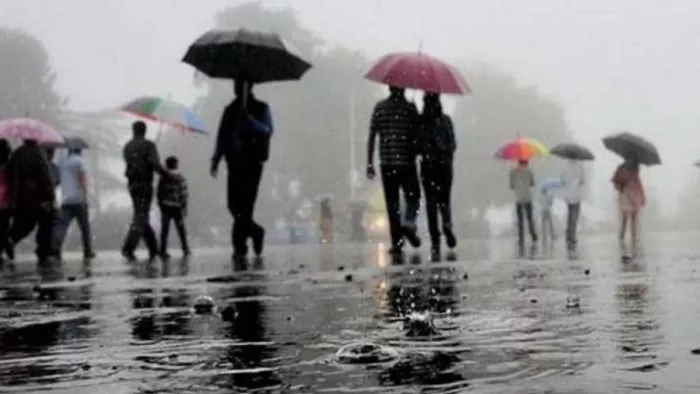 UP Weather: उत्तर प्रदेश के कई जिलों में 24 घंटे में सामान्य से अधिक हुई वर्षा