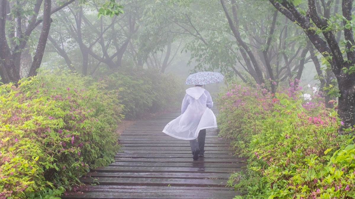 बारिश में रहेंगे पूरी तरह सेफ जब पहनेंगे ये Raincoat For Men, कम कीमत में मिल रही बेहतरीन क्वालिटी