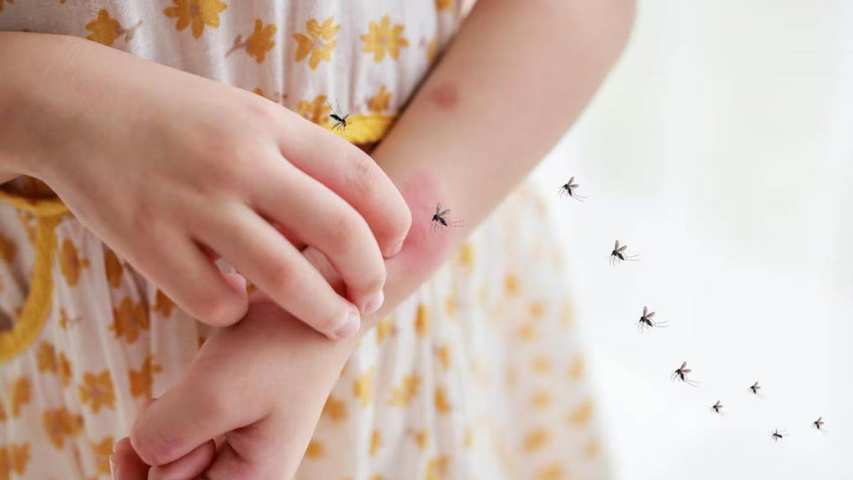 https://www.jagranimages.com/images/newimg/12072024/12_07_2024-dengue_20_23757284.jpg
