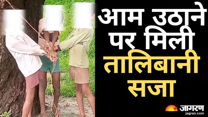 बाग में गिरा हुआ आम उठाने गए तीन बच्चों की पिटाई कर वीडियो वायरल कर दिया गया। जागरण