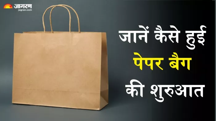जानें कब और कैसे हुई पेपर बैग का आविष्कार (Picture Credit- Freepik)